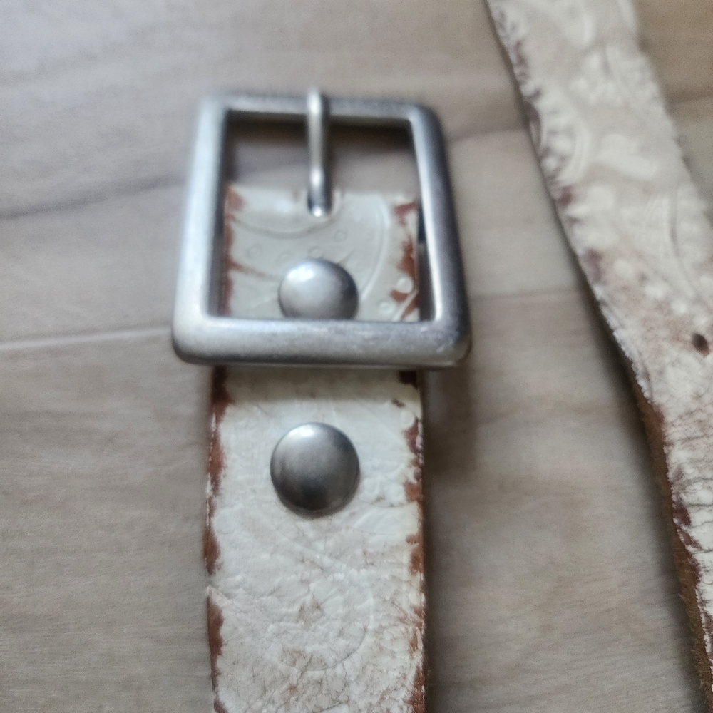 Volcom Belt - Picture 4 of 5